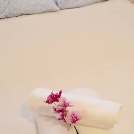 9 La Alzambra-puerto Banus *